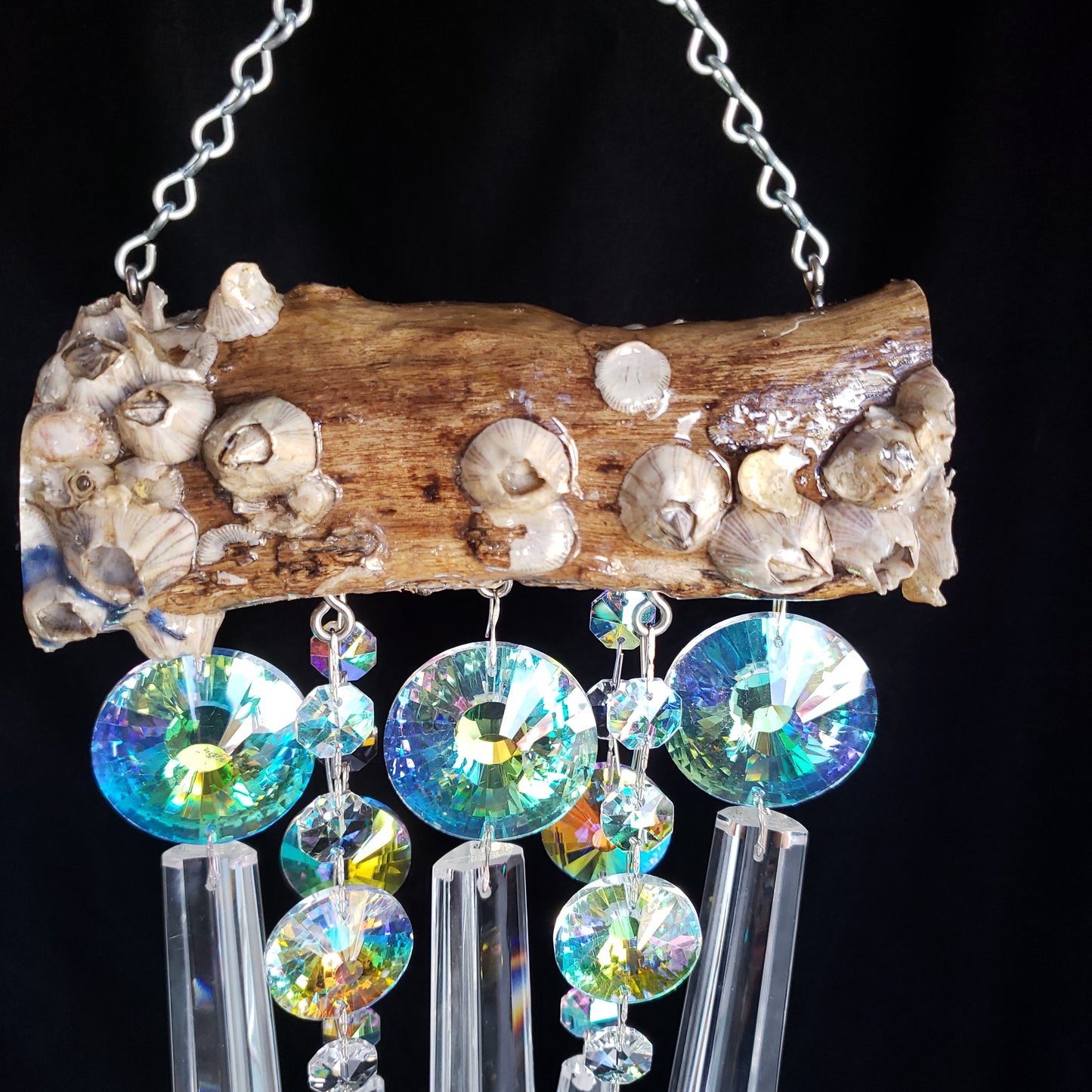 Barnacle epoxy art by Dazzling Driftwood