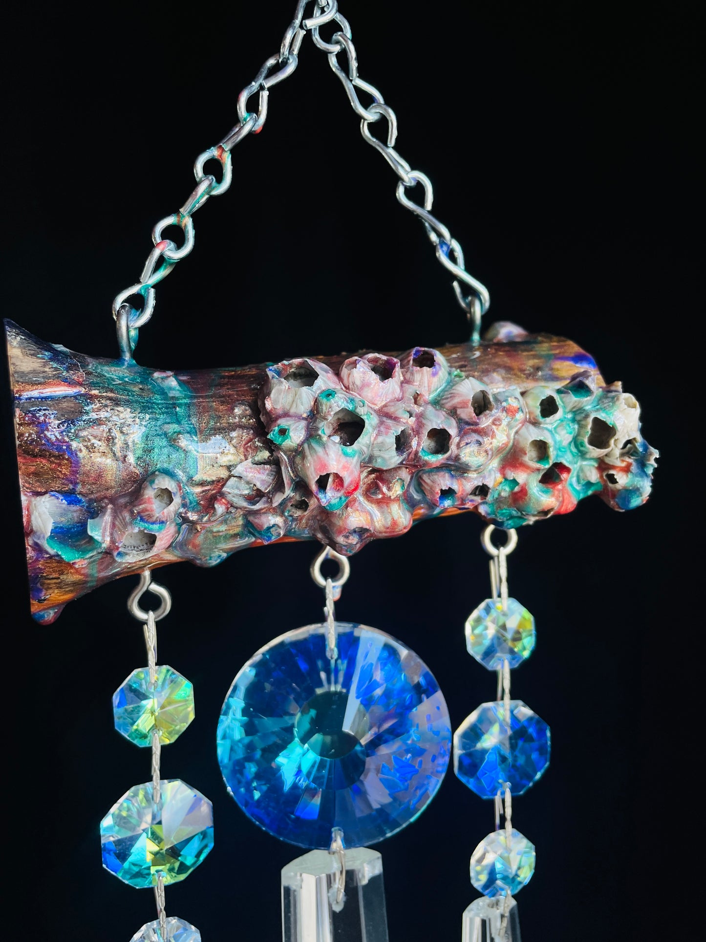 Barnacle windchime sun catcher Dazzling Driftwood