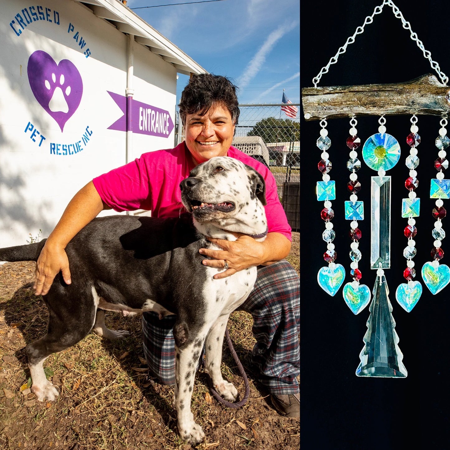 Crystals for Crossed Paws Three Strand Natural Driftwood Sun-catching Wind-chime with Crystal Spears