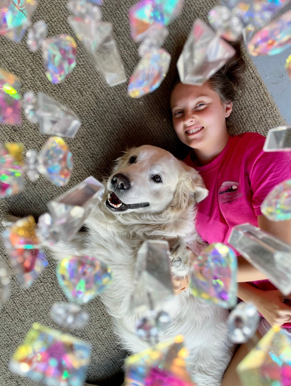 Paw Print Wing Memorial Suncatcher