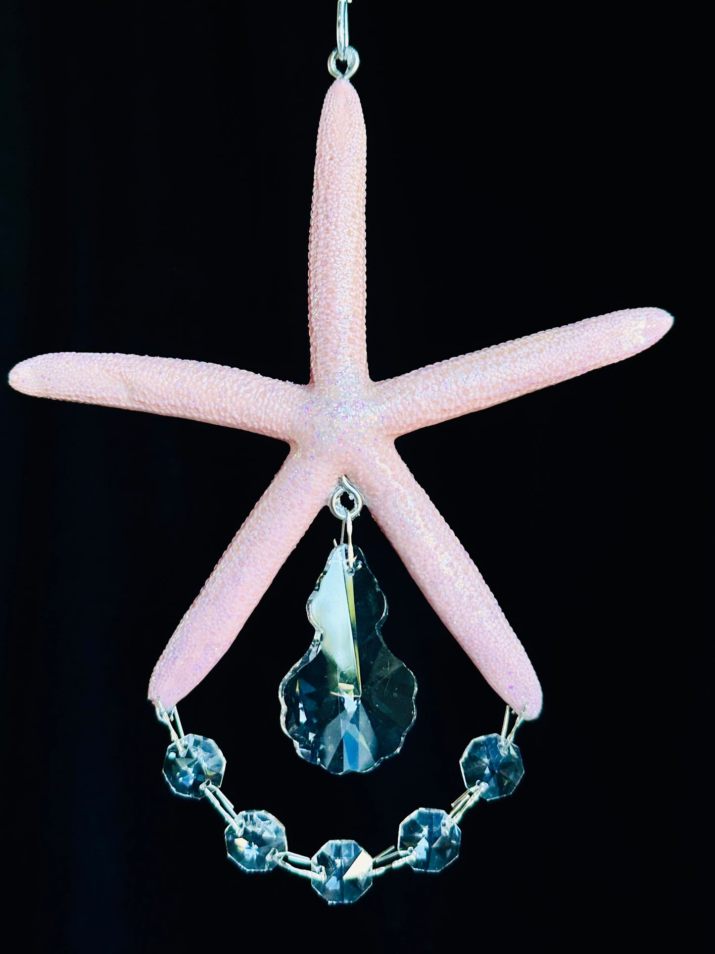 Real Starfish Dazzling Suncatcher