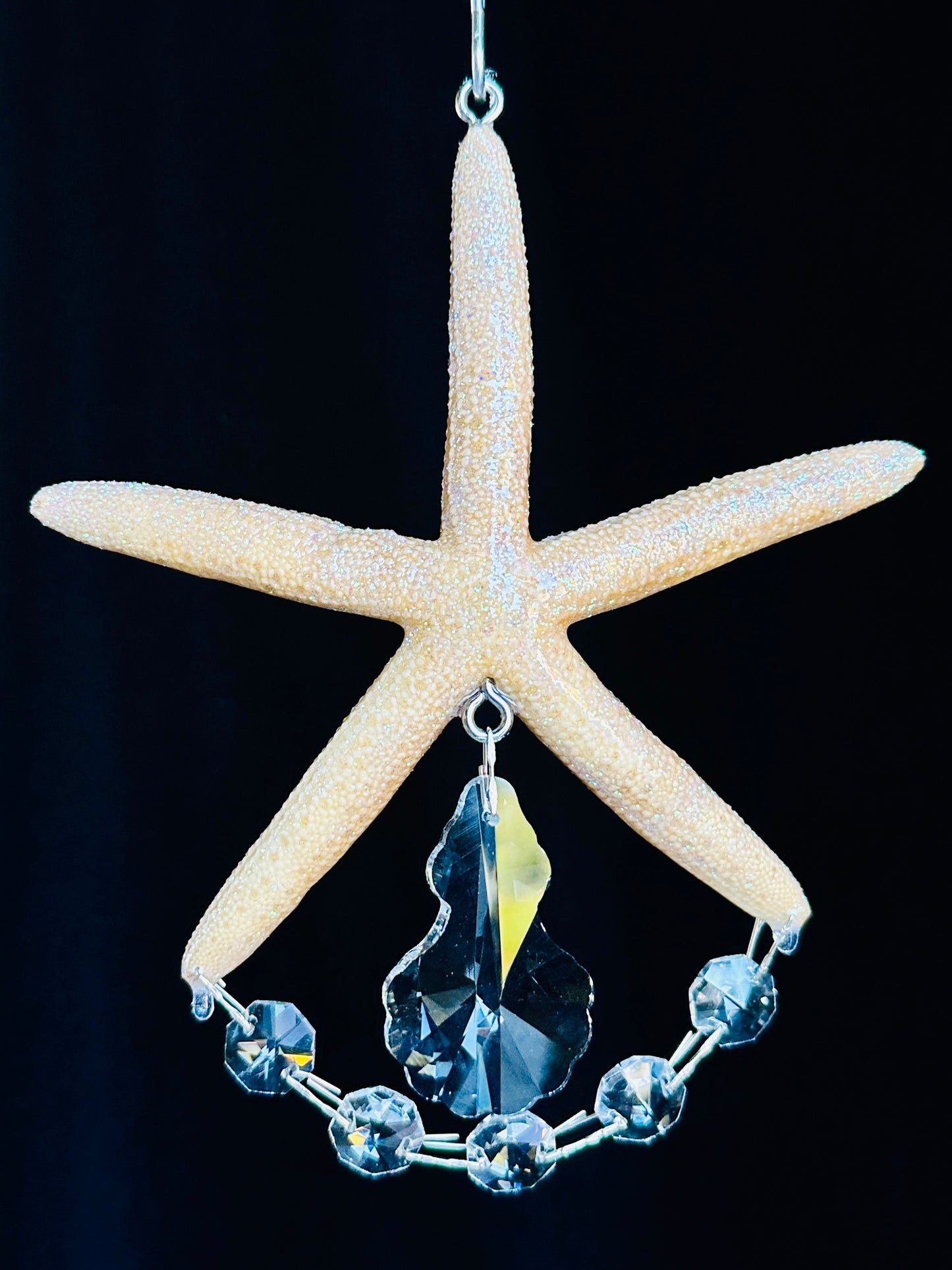 Real Starfish Dazzling Suncatcher