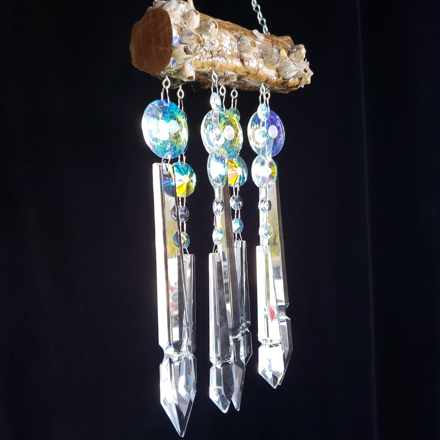 Dazzling Driftwood Auburndale Florida