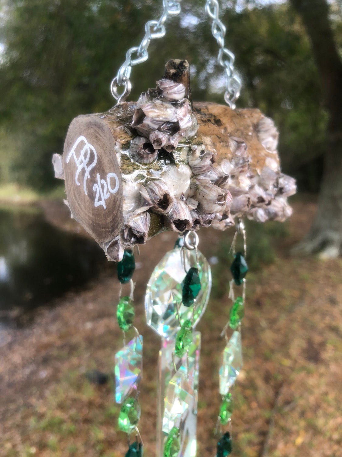 dazzling driftwood barnacle wind-chime sun-catcher 