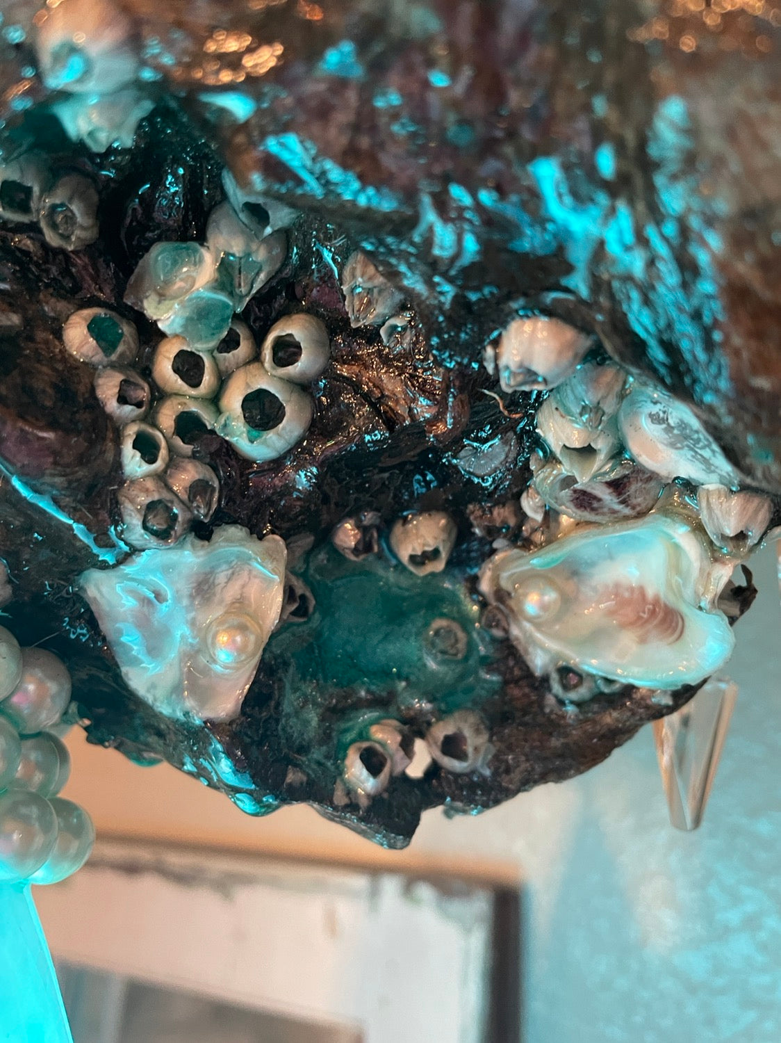 epoxy rein barnacles and tide-pool driftwood