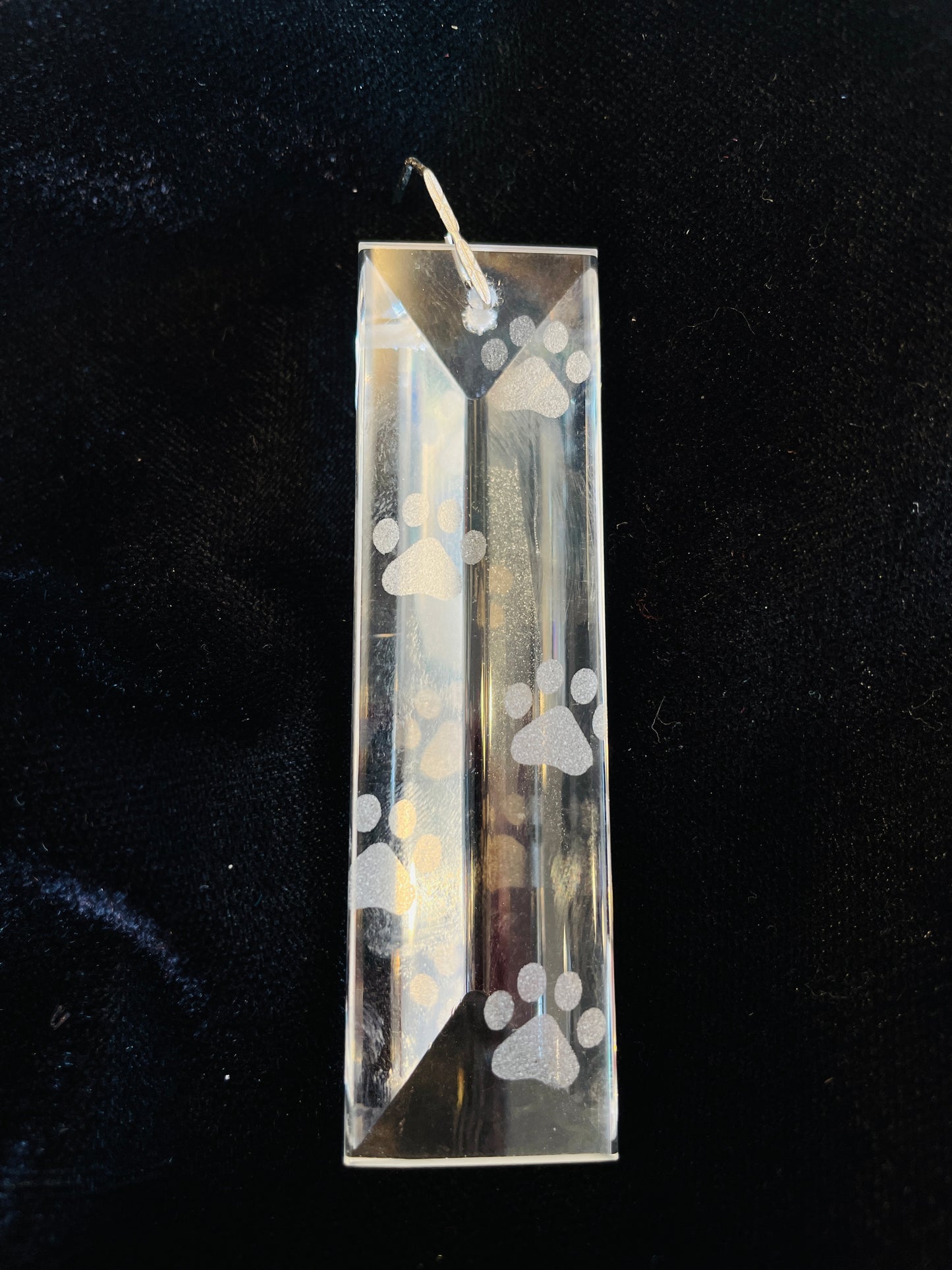 pawprint animal lover etched chandelier crystal by Dazzling Driftwood