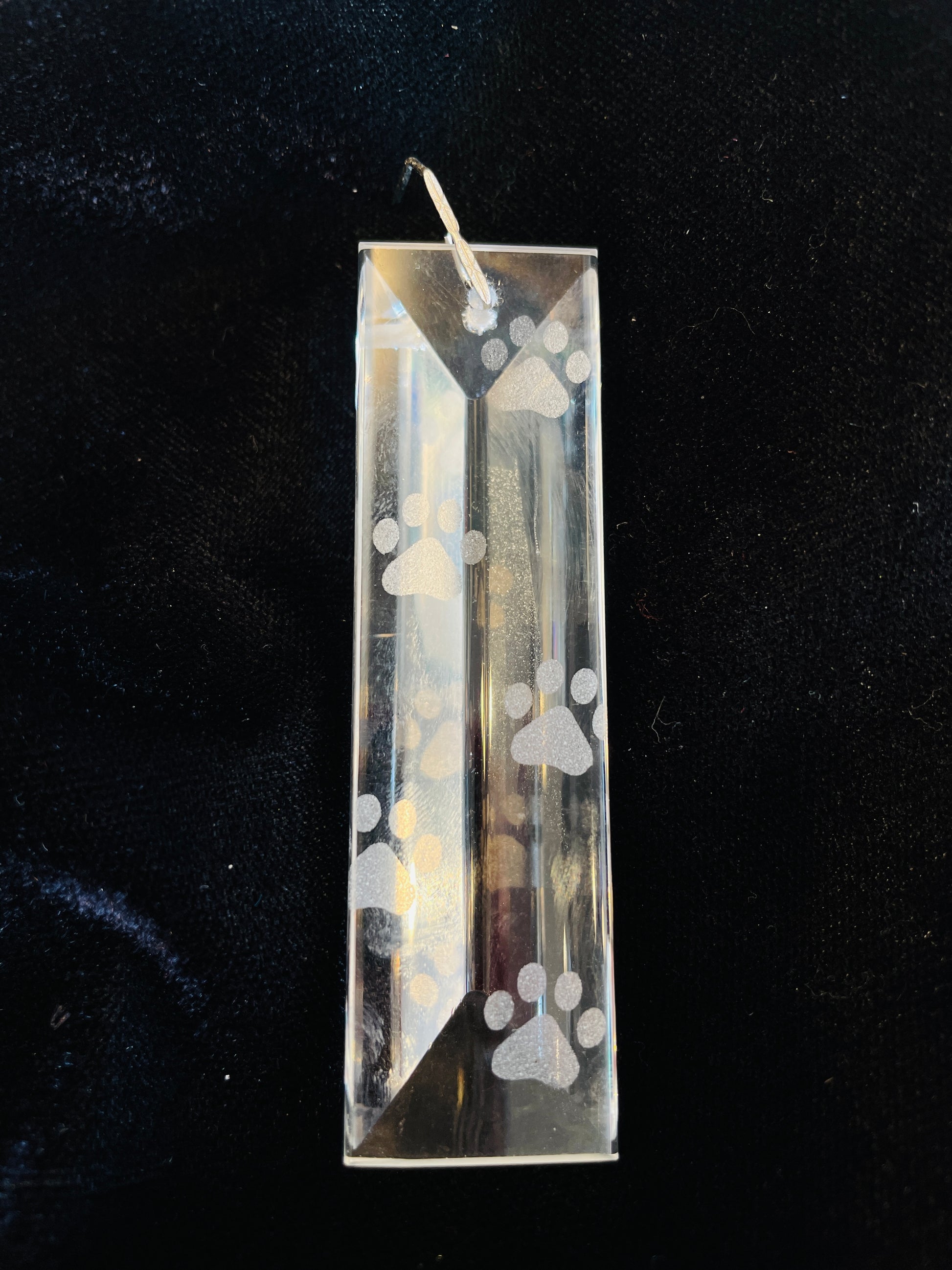 pawprint animal lover etched chandelier crystal by Dazzling Driftwood